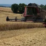 Desetine miliona ljudi biće ugroženo globalnim nestašicama hrane