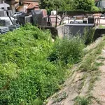 Kanal na Keju i dalje leglo zaraze (VIDEO)