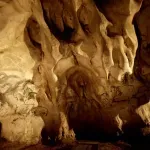 10 факта за пещерата Шове