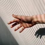 Кой е мускулът, който не всички притежават?