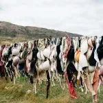 Как да определите размера на сутиена си вкъщи?