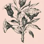 Optična iluzija: Vam uspe najti vse skrite obraze v 15 sekundah?