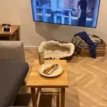 Hitri test vida: odkrijte, kje se skriva pes