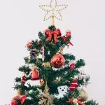 Praznični izziv za možgane: poiščite skritega medvedka