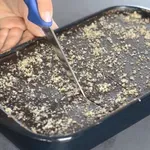 Mehko, bogato in praznično: orehovo pecivo namesto potice