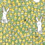 Zvita uganka: Lahko najdete 3 jajca, iz katerih se še ni izvalilo pišče?