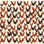 Optična uganka: Med petelini se skriva ena kokoš – jo opazite?