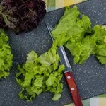 Kako podaljšati svežino narezane solate in zmanjšati količino odpadkov