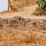 Nekje na tej fotografiji se skriva mačka. Jo lahko najdete v samo 8 sekundah?