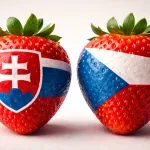 Kvíz: Preložíte týchto 8 českých slovíčok správne? Otestujte sa!