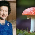 Všeobecný kvíz: 10 otázok, ktoré udržia hlavu v strehu