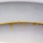 Kako za vedno odstraniti rumene madeže v WC školjki? Preprost trik naših babic, ki nadomesti vsa draga čistila