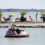 Turisti med kopanjem zagledali shrljiv prizor: skrivnostno morsko bitje se je pojavilo tik ob obali (gre za to žival)