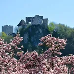 4 razlogi, zakaj se na svoj naslednji izlet odpraviti v Celje