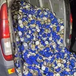 Nemški policisti česa takega niso pričakovali: kombi je bil tako težak, da ga ni mogla dvigniti niti vlečna služba, njegova vsebina pa je presenetila tudi policiste