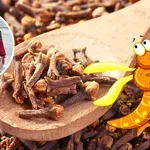 Aplikujte tuto masku z jedlé sody a jablečného octa na 5 minut a stane se zázrak: z vašeho obličeje zmizí všechny skvrny, jizvy a vrásky!