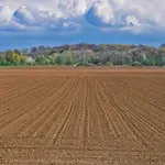 U Srbiji udeo organske proizvodnje samo 0,83% u odnosu na ukupno korišćeno poljoprivredno zemljište