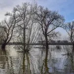 Zašto bi trebalo da ulažemo u adaptaciju na klimatske promene?