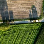 Kako „mala“ zemlja jedina na svetu može sama sebe da prehrani