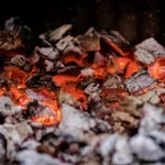 Pepeo i šljaka u zemljama EU deficitarna roba, Srbija ga ima a ne koristi