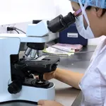 Naučnici uspeli da „podmlade“ ljudske jajne ćelije