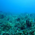 Za klimatske promene nije kriv samo čovek, već i tektonske ploče