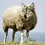 Ekonomska cena partijskog upravljanja energetikom: Socijalizacija troškova, privatizacija prihoda