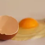 Ćureće meso se često jede, ali ne i jaja – zašto?