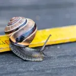 Koji su uzroci ekonomskog usporavanja Srbije