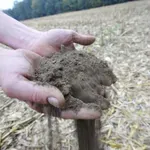 Svaki dinar uložen u obnovu zemljišta stvara u proseku 10 dinara vrednosti
