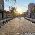 Kako su građani odbranili Almaški kraj u Novom Sadu