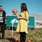 Šta znači kada je voće i povrće bez ostataka pesticida i gde se u Srbiji može kupiti - Biznis i Finansije