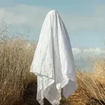 Kvalitet javnih podataka o privredi Srbije: Proveriti pre upotrebe