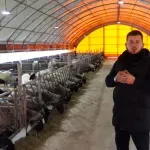 VIDEO | Prvi suvremeni ovčarnik niknuo u Bugojnu