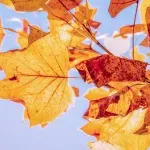 Iza nas druga najtoplija godina u povijesti mjerenja