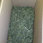 Tijekom pretresa zaplijenjeno 4 kilograma droge