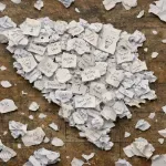 Patriotizmi ponižavanja i zaboravljanja