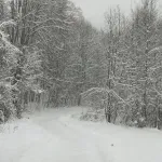 U Hrvatskoj palo pola metra snijega, zatvorena autocesta A1