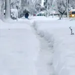 Zimske gadosti: Trojka pod snijegom