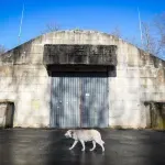 Predsjedništvo BiH razmatra pokretanje međunarodnog spora protiv Hrvatske