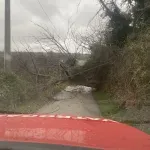 Stablo palo na cestu, intervenirali mostarski vatrogaci