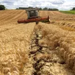 Agroindustrija BiH u 2025. bilježi deficit od 4,24 milijarde KM