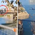 VIDEO | Otac tijekom svađe sa suprugom bacio dijete s mosta
