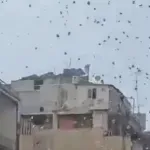 VIDEO | Izrael baca letke na Bejrut, pozivaju na pobunu protiv Hezbolaha