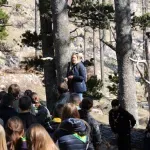 Na Rujištu posađeno 1.500 sadnica munike