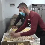 VIDEO | Obitelj Grizelj iz Sovića pokazuju kako ostati i uspjeti u Hercegovini