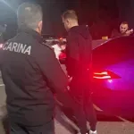 Hrvatske i srpske vrane