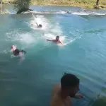 Prvo domaći, onda gosti: Počela sezona kupanja na Čeveljuši.