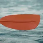 Fočak udario kolegu veslom u glavu