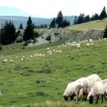 VIDEO | Konjic - moglo bi se dobro živjeti